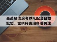 爱奇艺体育登录入口-西悉尼流浪者球队配合日益默契，世俱杯表现备受关注的简单介绍