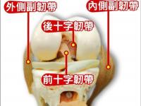 爱奇艺体育登录入口-包含库里教妹时隔一年复出此前遭遇左膝前十字韧带撕裂的词条