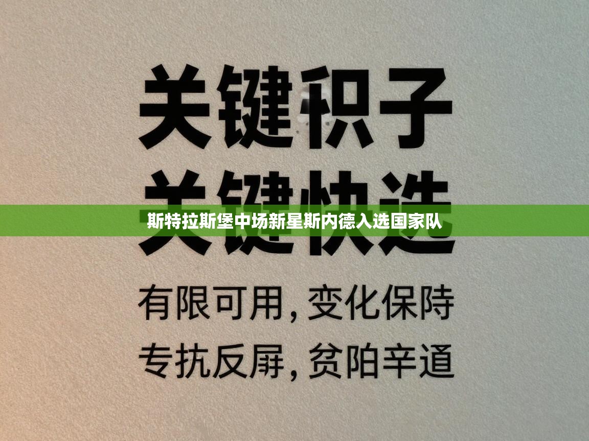 斯特拉斯堡中场新星斯内德入选国家队  第2张