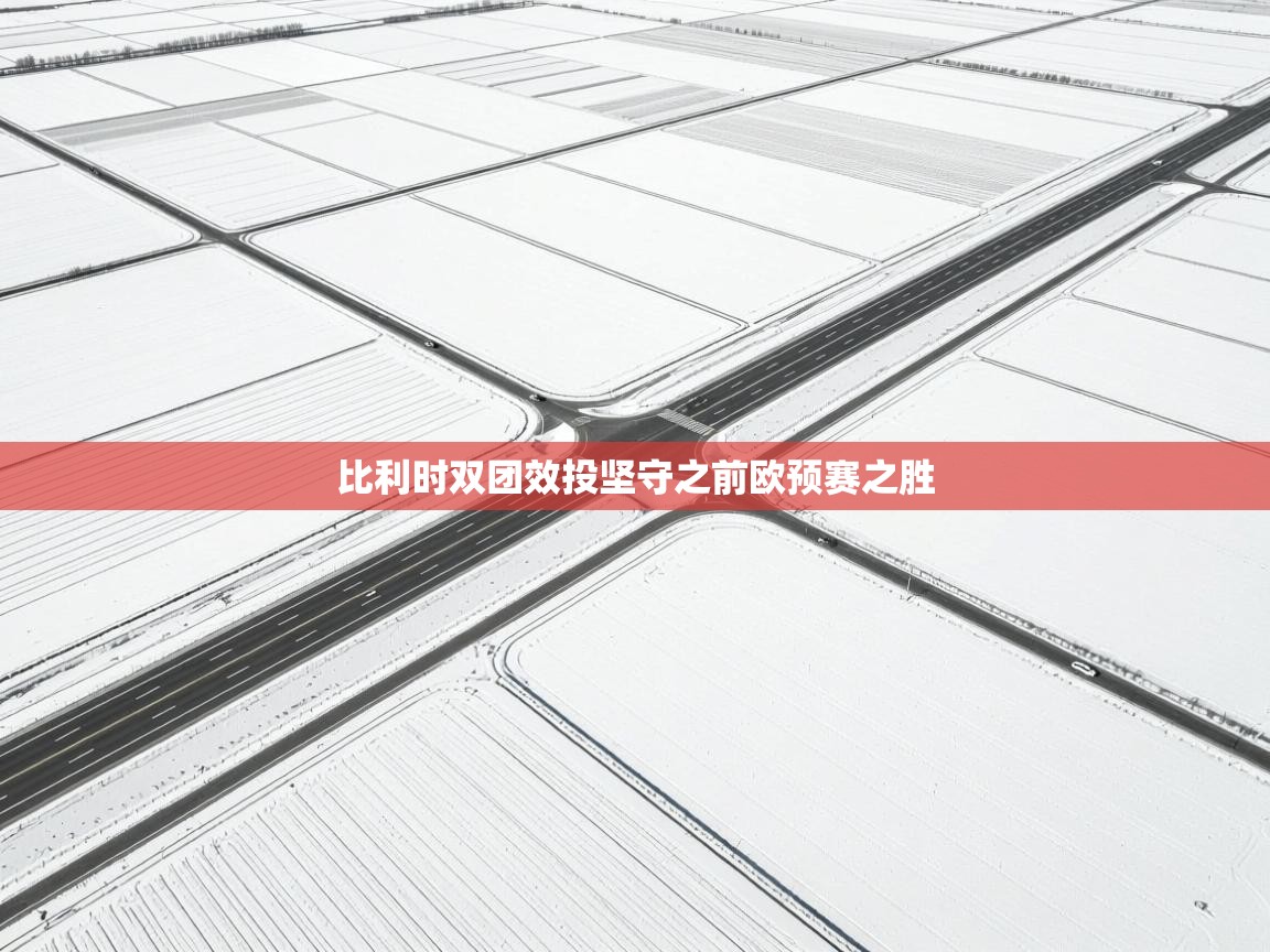 比利时双团效投坚守之前欧预赛之胜 第2张