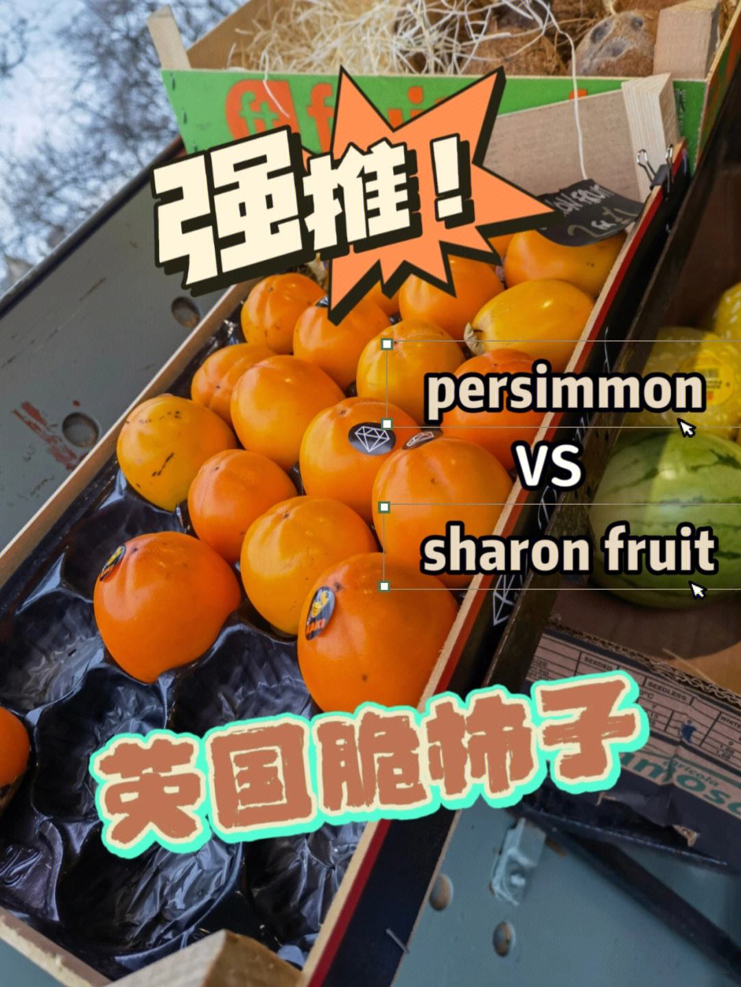 哪儿来的自信？帕尔默：美国烤豆子恶心没英国的好吃