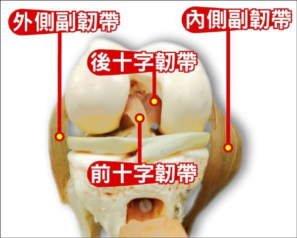 包含库里教妹时隔一年复出此前遭遇左膝前十字韧带撕裂的词条