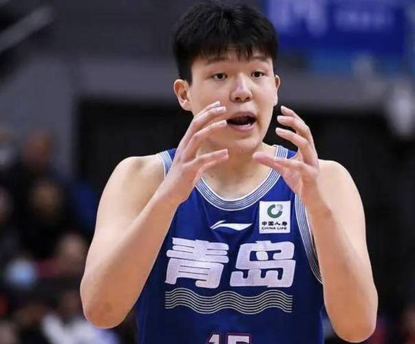 包含去年新秀二阵中锋今日面对杨瀚森11投仅1中的词条